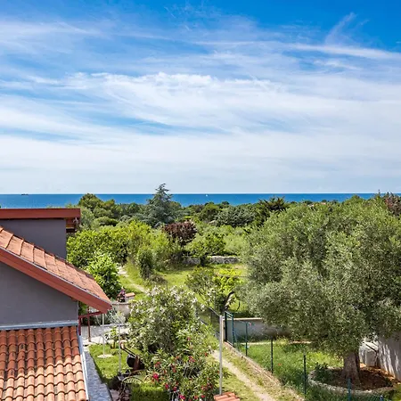 Sunny Olive Villa