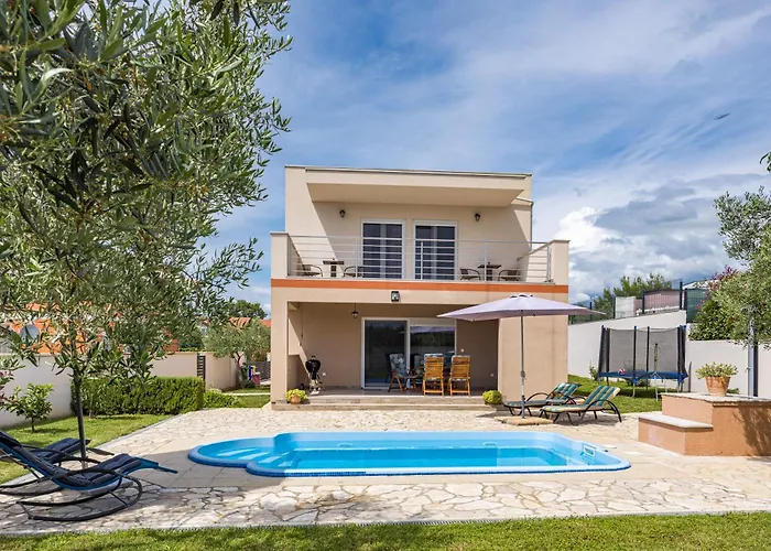 Sunny Olive פרוי