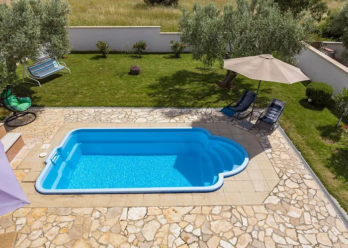 Sunny Olive * פרוי